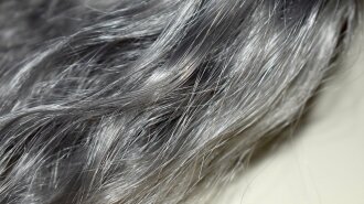 "Волосся повернуло звичний вигляд": вчені назвали простий спосіб позбутися сивини