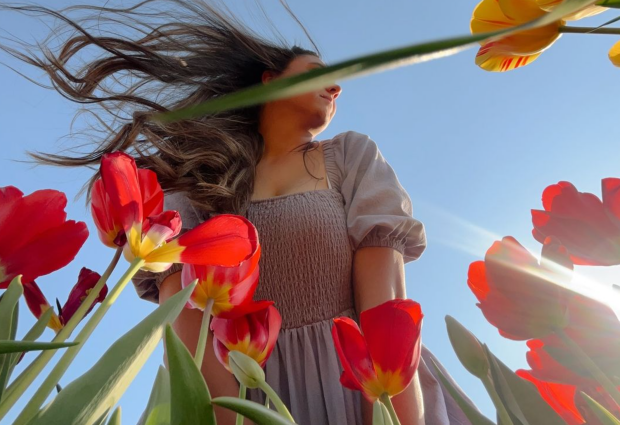 Гороскоп, весна, цветы, тюльпаны, изображение: Pinterest