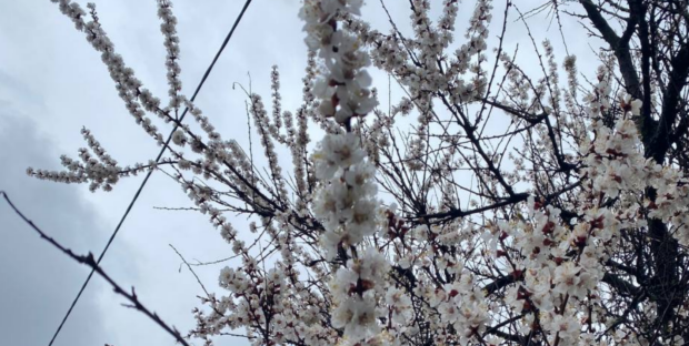 Весна, гороскоп, погода