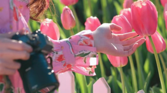 Гороскоп, тюльпани, зображення: Pinterest