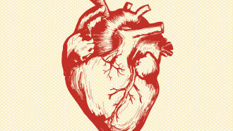 Как сохранить сердце здоровым: отвечает доктор высшей категории