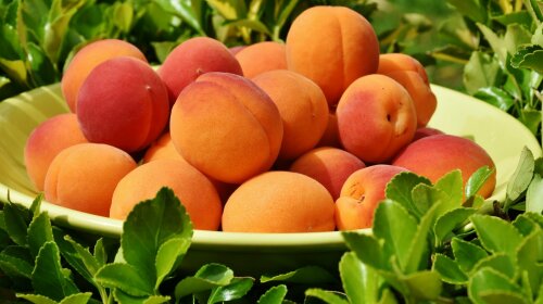 Чим корисний абрикос?