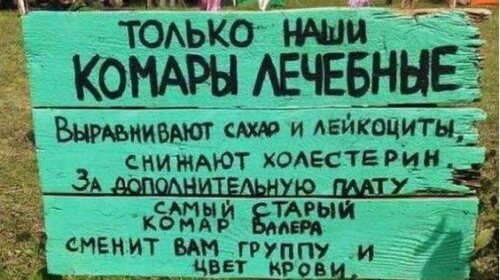 "Старый комар Валера сменит вам группу крови": самые смешные объявления из Сети (ФОТО)