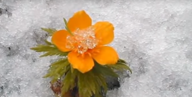 Погода, весна