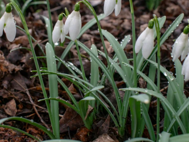 Весна, погода, фото: majborodinruslan1990/depositphotos