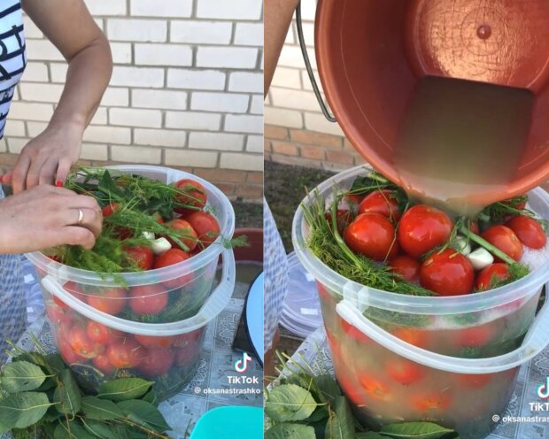 Квашені помідори з секретним інгредієнтом