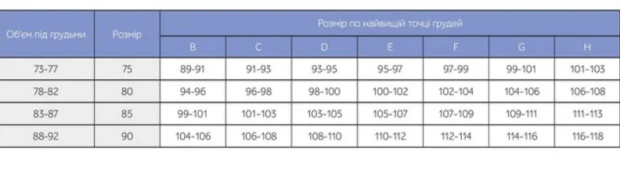 Розмір грудей