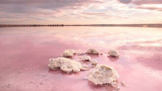 Самое необычное озеро Украины поменяло цвет (ФОТО)