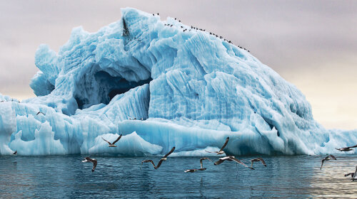 Самый большой айсберг в мире откололся от Антарктиды: он в пять раз больше Киева