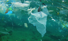 Світовий океан вже перенасичений різними пластиковими відходами