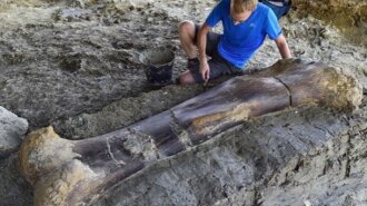 Ученые нашли кость крупнейшего зверя в истории планеты