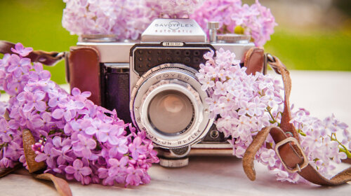 Beautiful-lilacs-in-a-still-life-photos-01