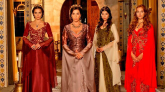 Преемницы Роксоланы: как на самом деле выглядели девушки в султанских гаремах