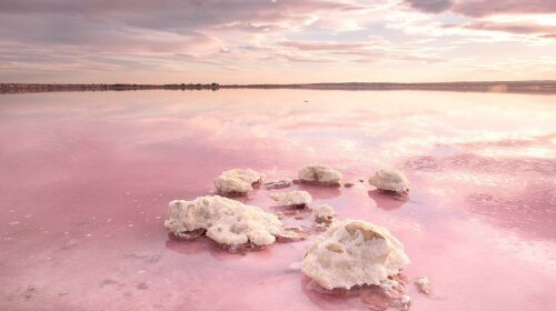 Найбільш незвичайне озеро України змінило колір (ФОТО)