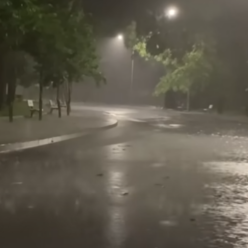 Погода