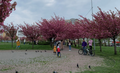 Погода