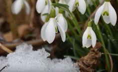 Погода, весна