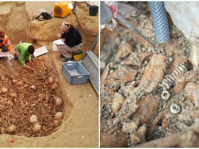 У Франції археологи виявили склеп епохи неоліту