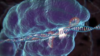 CRISPR-DNA