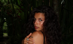 Мішель Андраде