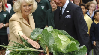 королева Камілла зізналася, який її улюблений овоч