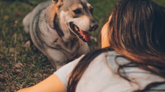Користувачі показали своїх собак в нанеймовірніших позах: флешмоб розсмішив Мережу