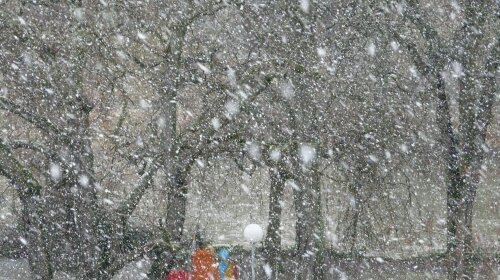 Снегопады и морозы до -8: синоптики огорошили прогнозом погоды в Украине на ближайшие дни