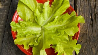 листья салата