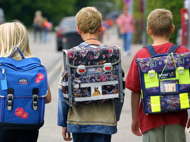 Как выбрать и сколько стоит ранец: собираем ребенка в школу