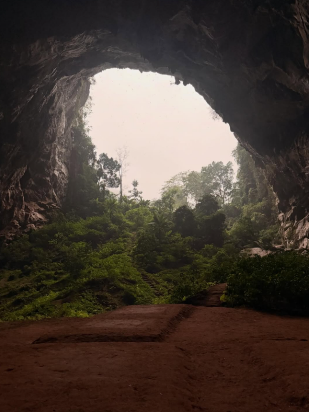 Скрін публікації Даші Трегубової