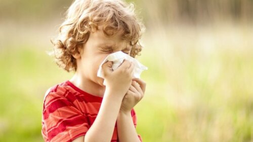 Будь здоров: почему нельзя чихать с закрытым ртом?