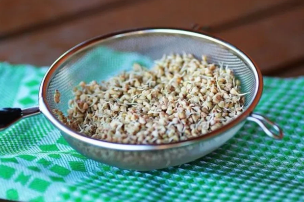 Зелена гречка, зображення із вільних джерел