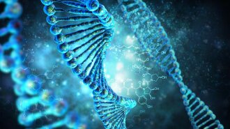 Генетик розповів, наскільки точний ДНК-тест