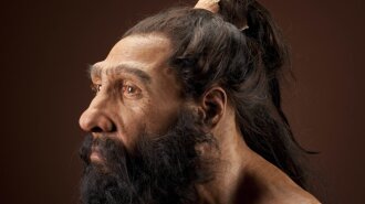 Homo neanderthalensis adult male.  Reconstruction based on Shanidar 1 by John Gurche for the Human O