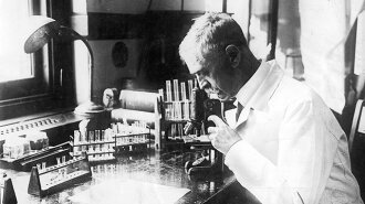 Der Chemiker und Mediziner Karl Landsteiner in seinem New Yorker Labor