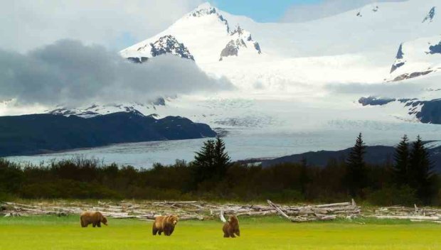 природа, природа Аляски, приголомшливі фото