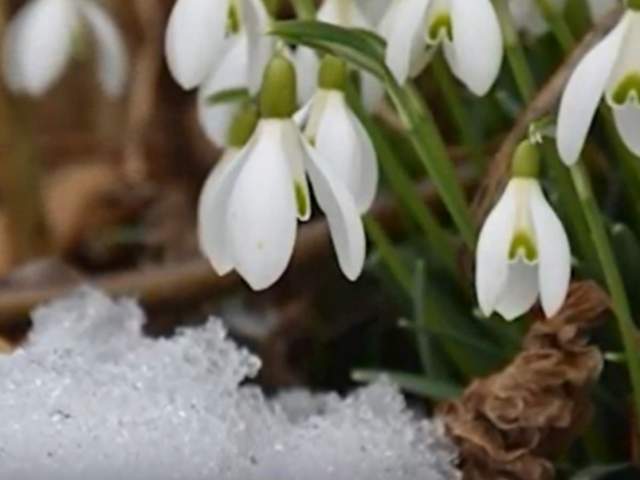 Погода, весна