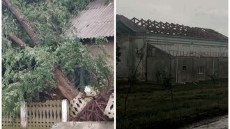 Літали дахи і виривало дерева: моторошні наслідки урагану під Одесою (ФОТО)