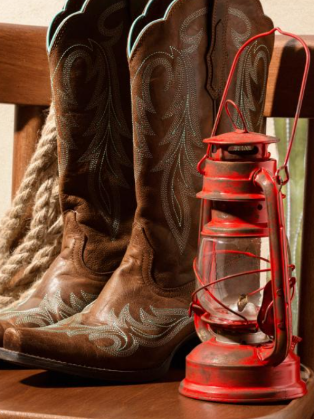 Мода, взуття, сапоги, чобітки