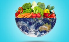 Содействует долголетию и спасает планету: ученые выяснили, как эта экологическая диета может снизить риск смерти на 25% - удивительные результаты