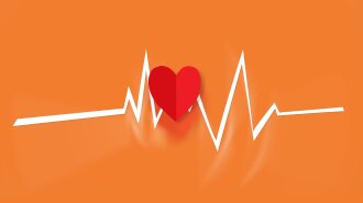 Побережи здоров'я: медики назвали найшкідливіші для серця продукти