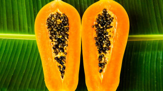 papaya-thaiskii-frukt