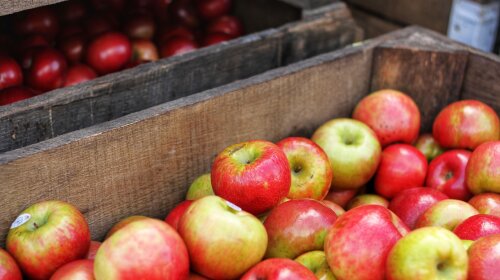 Як зберегти яблука до наступної весни