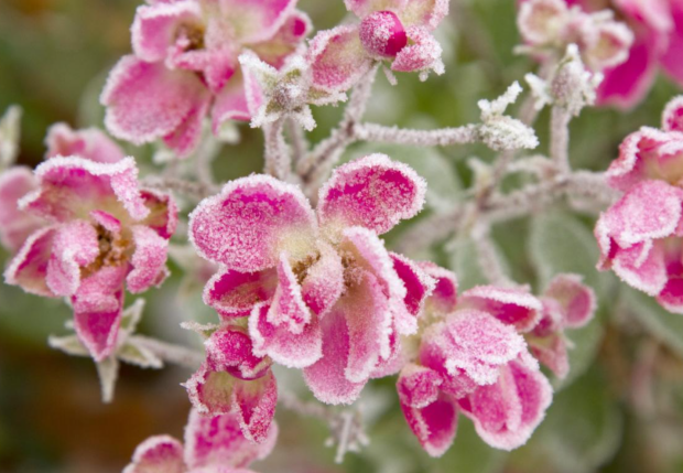 Похолодання, весна, погода, зображення з вільних джерел