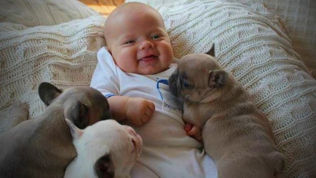 Фото младенцев с собаками