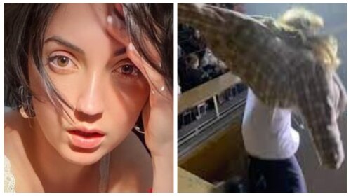 Оля Цибульська підтримала Jerry Heil, яка впала в оркестрову яму, і згадала про свою травму під час концерту