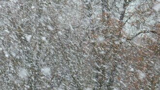 В Україну йдуть мокрий сніг і дощі: які області накриє