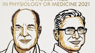 Хто отримав Нобелівську премію 2021 в галузі медицини