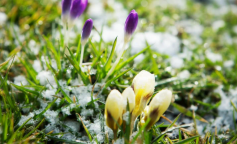 Похолодання, весна, погода, зображення з вільних джерел