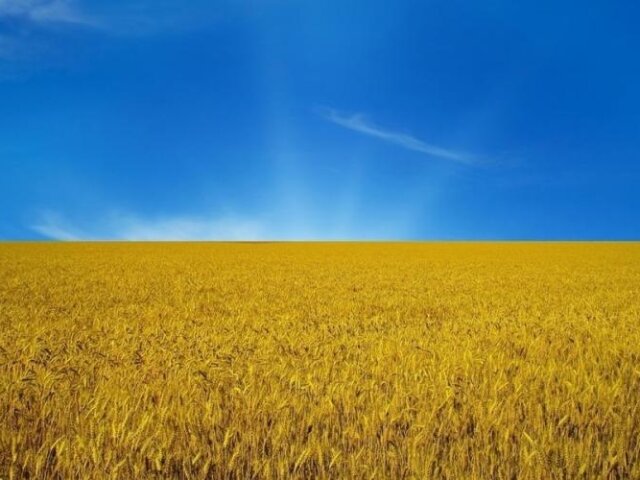 0000057138-ukraina-flag